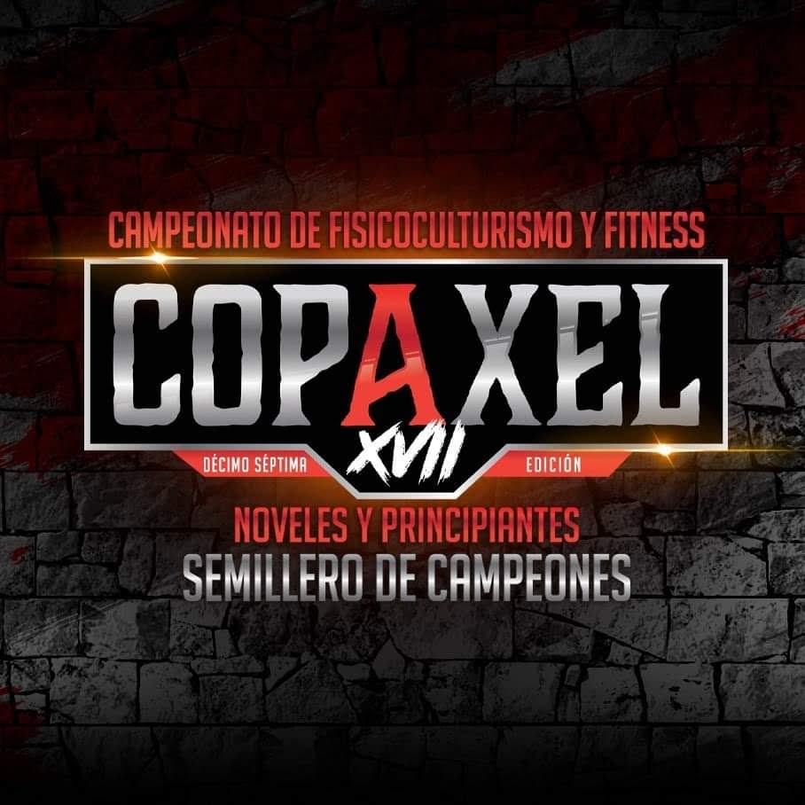Lee más sobre el artículo Copa Axel 2020